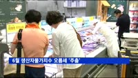 6월 생산자물가 오름세 '주춤'…농수산물 가격 하락 영향