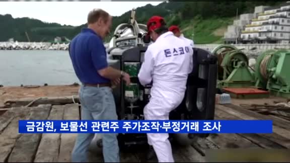 금감원, 보물선 관련주 주가조작·부정거래 조사 착수