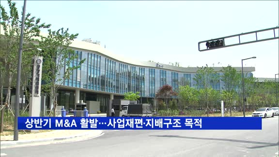 상반기 대기업 M&A 활발…사업재편·지배구조 개편 목적