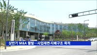 상반기 대기업 M&A 활발…사업재편·지배구조 개편 목적