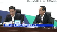 당정, 내년도 최대한 확장적 재정 운영