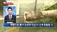 [이슈진단]태풍'솔릭' 상륙, 증시에도 태풍 몰아칠까?