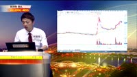 [종목상담]엘비세미콘(061970)