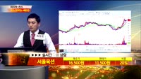 [종목상담]서울옥션(063170)