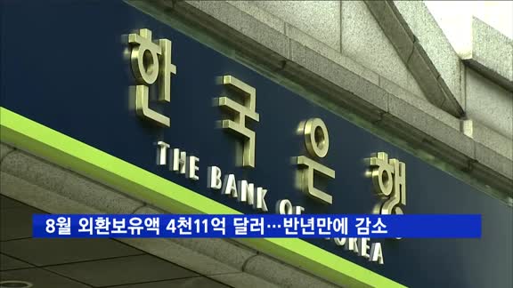 8월 외환보유액 4천11억 달러…달러 강세로 반년만에 감소