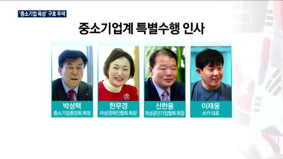 '중소기업 육성' 구호 무색한 방북단…중기 특별수행원 '달랑 1명'