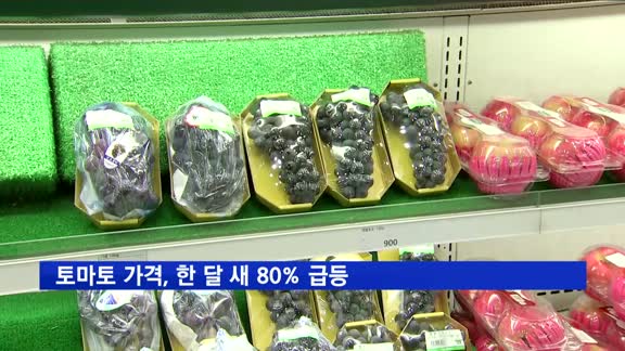 토마토 가격, 한 달 새 80% 급등