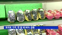 토마토 가격, 한 달 새 80% 급등