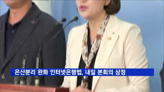 '은산분리 완화' 인터넷은행법 20일 본회의 상정