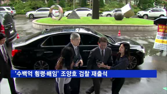 '수백억 횡령·배임' 조양호 검찰 재출석…"성실히 조사받겠다"