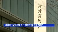 금감원 "보험산업 관행 개선 혁신안 올 연말 발표"