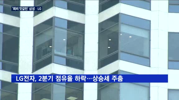 삼성-LG전자, 엇갈린 희비…삼성은 '고공', LG는 '주춤'