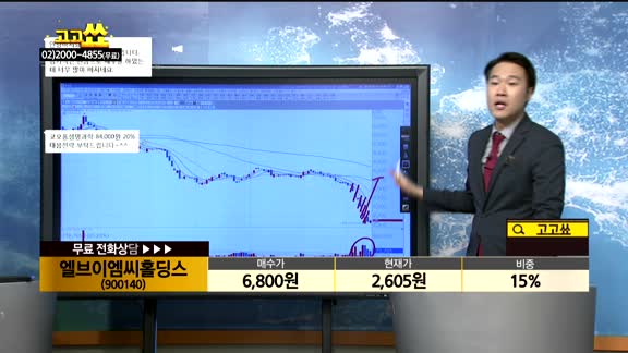  [종목상담]엘브이엠씨홀딩스(900140)