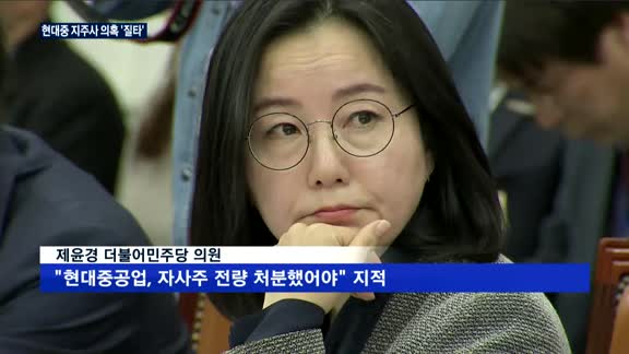 현대중 지주사 전환 의혹 '질타'…강환구 "할 수 있는 모든 조치 했다"