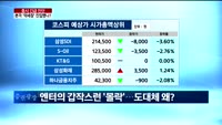 [증시 긴급 진단]	본격 '약세장' 진입했나?