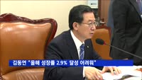 김동연 "올해 경제성장률 2.9% 달성 어려워"