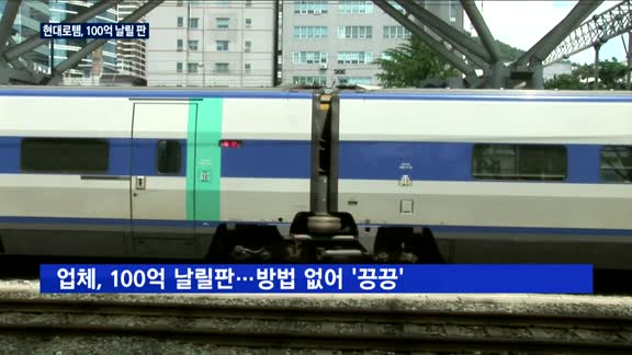 [단독] 국토부, 'KTX 2층 열차' 상용화 반대…현대로템, 100억 날릴 판