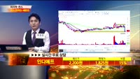 [종목상담]인디에프(014990)