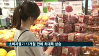 소비자물가 13개월 만에 최대폭 상승