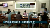 '9.13대책'에도 가계대출 최대 증가…신용대출 '폭증'