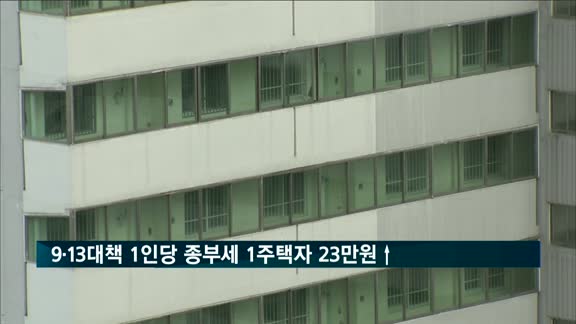 9·13대책 영향 1인당 종부세 1주택자 23만 원 증가