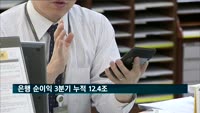 은행 순이익 3분기 누적 12.4조…금융위기 이후 최대