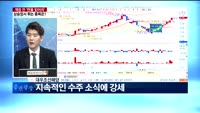 [판을 읽어라]개장전 '판을 읽어라',	상승장서 튀는 종목은?