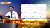 [종목상담]알파홀딩스(117670)