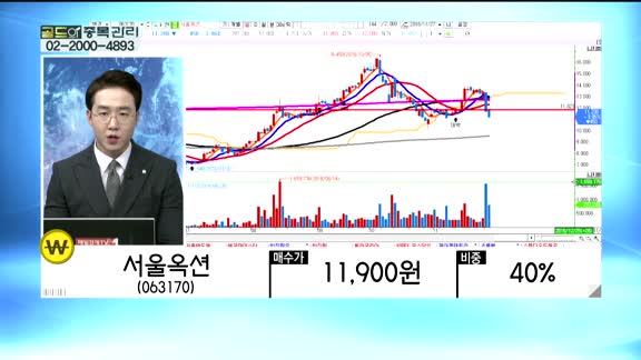 [골드의 종목관리] 서울반도체(046890), 현대로템(064350), 서울옥션(063170), 신대양제지(016590)