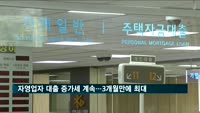 자영업자 대출 증가세 계속…11월 증가폭 3개월래 최대