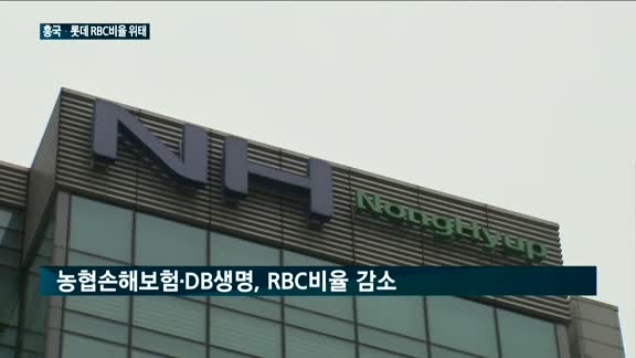 흥국화재·롯데손보 등 RBC비율 '위태'