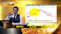 [종목상담]엘앤에프(066970)