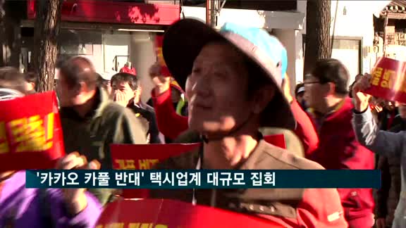 '카카오 카풀 반대' 택시업계 대규모 집회 개최
