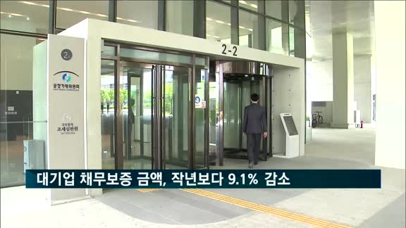 대기업 채무보증 금액, 지난해보다 9.1% 감소