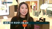 [2019 업계 이모저모 ②유통] 기해년 '황금돼지' 잡아라