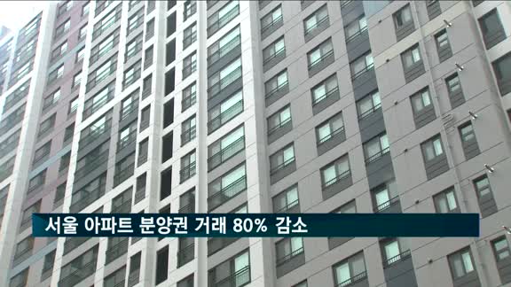 서울 아파트 분양권 거래 80% 감소