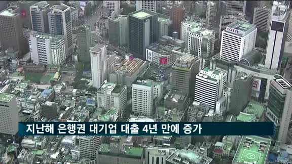 지난해 은행권 대기업 대출 4년 만에 증가