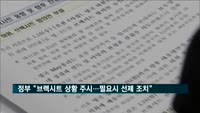 정부 "브렉시트 상황 주시…필요시 선제적 조치"