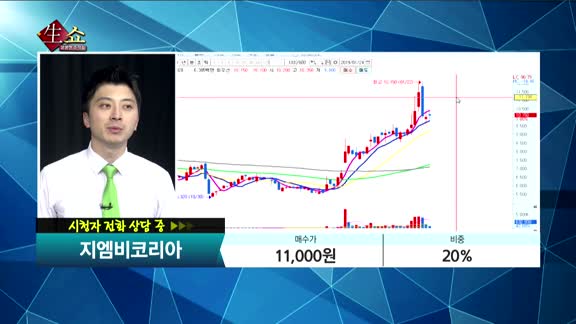 [종목상담]지엠비코리아(013870)