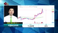 [종목상담]지엠비코리아(013870)