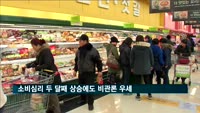 소비심리 두 달째 상승에도 비관론 우세