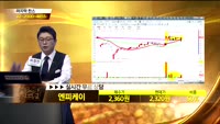 [종목상담]엔피케이(048830)
