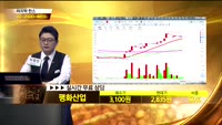 [종목상담]평화산업(090080)