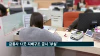 금융사 12곳 지배구조 공시 '부실'
