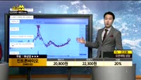 [종목상담]인트론바이오(048530)