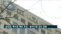 금감원, 특사경 확보 추진…분식위험기업 감시 강화