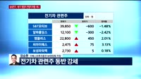 [오전장전망] 오전장 이렇게 대비하라!