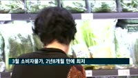 3월 소비자물가 0.4% 상승…2년 8개월 만에 최저