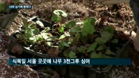 나무심기에 17개 기업·단체 뭉쳤다!