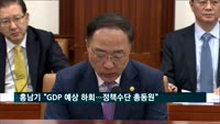 홍남기 경제부총리 "GDP 예상보다 낮아…정책수단 총동원"